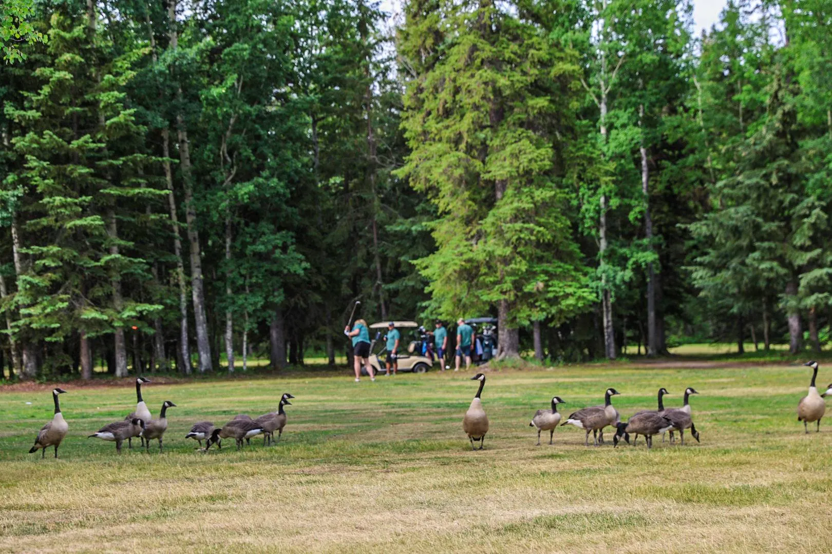 2025 RCSP Golf Tourney (1)